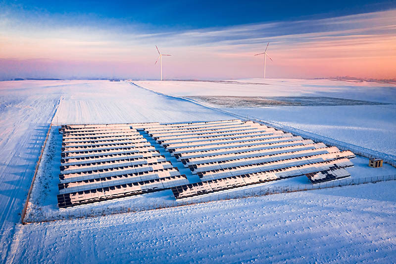 Honle New Energy celebra 20+ años y amplía su huella global en mercados clave